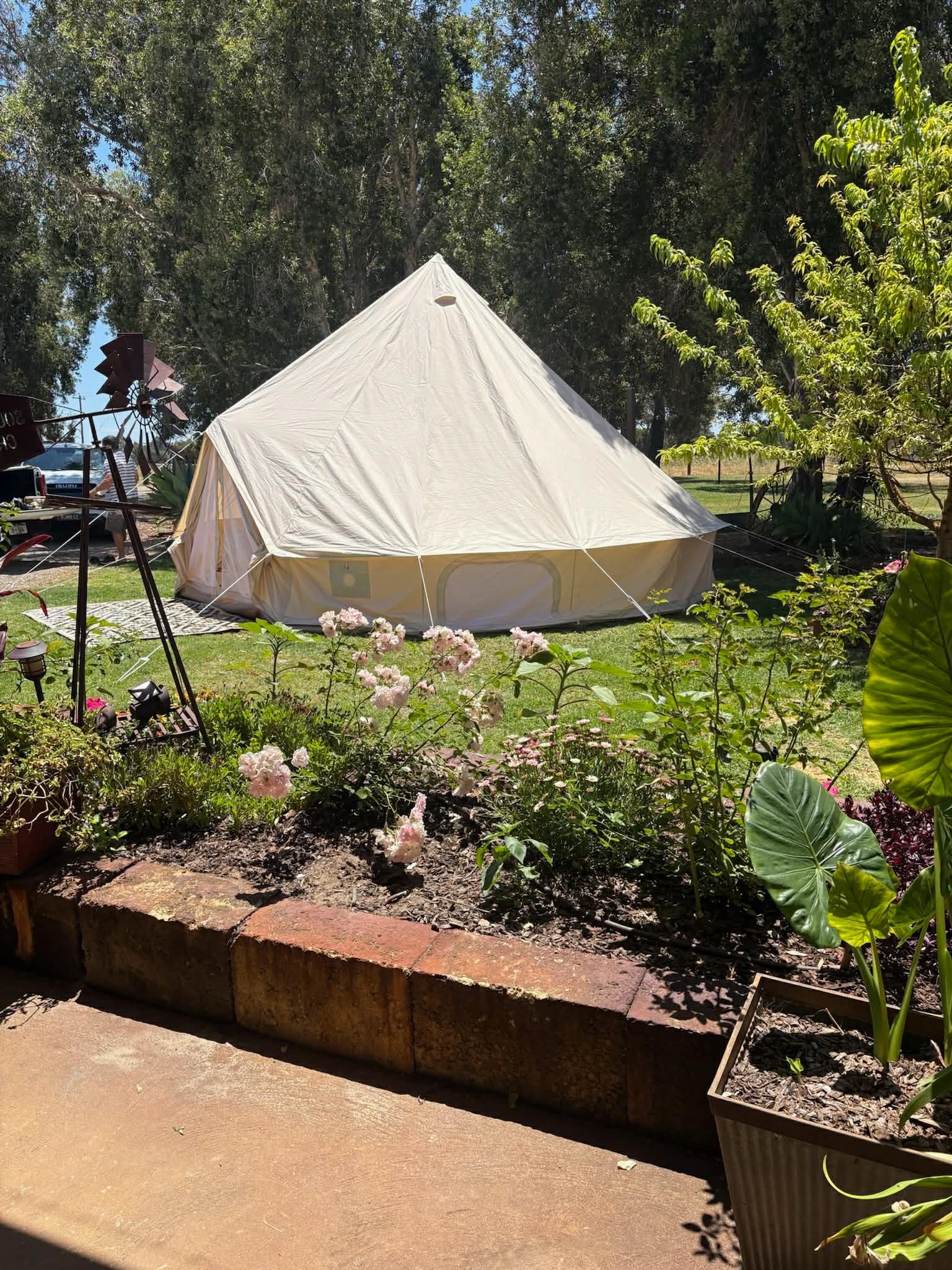 Healing space and wellness activities